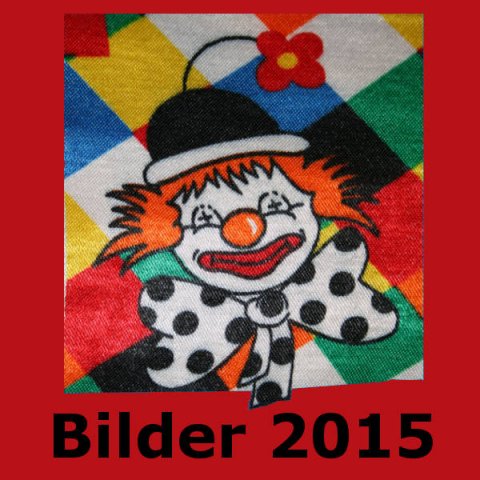 bilder-2015