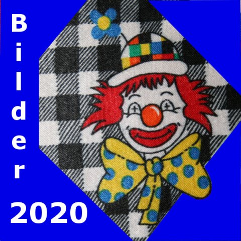 2020-bilder