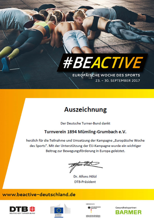 2017 beactive urkunde